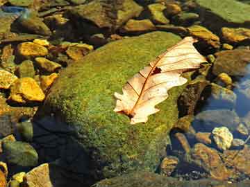 大數(shù)據(jù)分析助力流行病預(yù)測與預(yù)防策略優(yōu)化